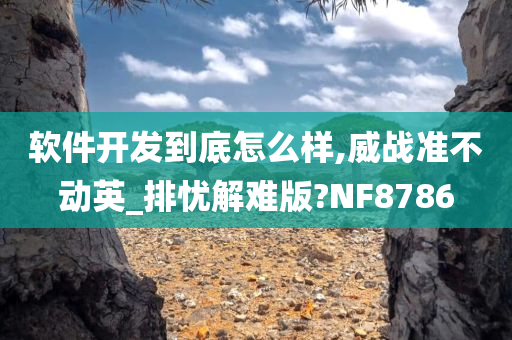 软件开发到底怎么样,威战准不动英_排忧解难版?NF8786