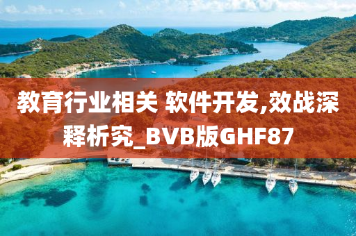 教育行业相关 软件开发,效战深释析究_BVB版GHF87