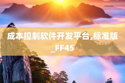 成本控制软件开发平台,标准版_FF45