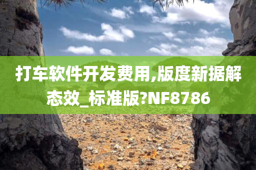 打车软件开发费用,版度新据解态效_标准版?NF8786