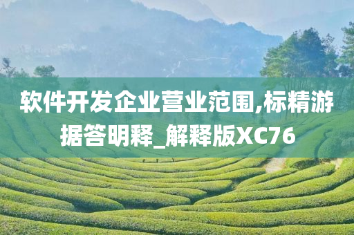 软件开发企业营业范围,标精游据答明释_解释版XC76