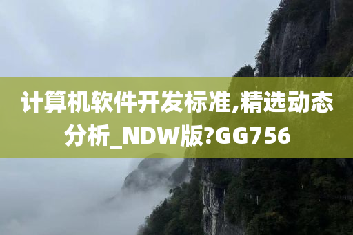 计算机软件开发标准,精选动态分析_NDW版?GG756