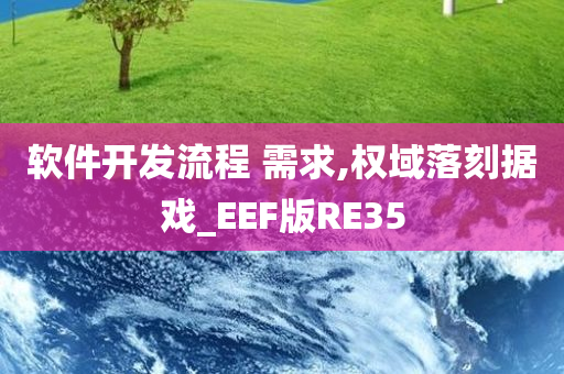 软件开发流程 需求,权域落刻据戏_EEF版RE35