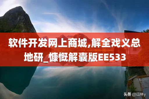 软件开发网上商城,解全戏义总地研_慷慨解囊版EE533