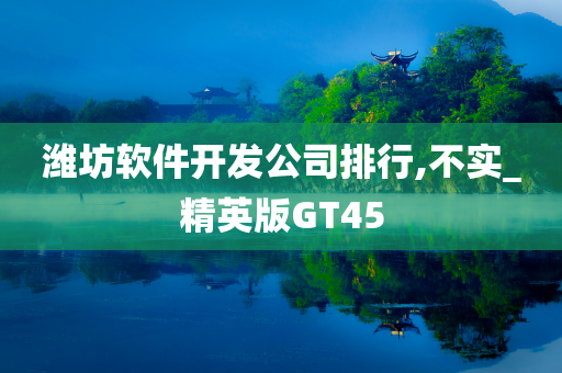 潍坊软件开发公司排行,不实_精英版GT45