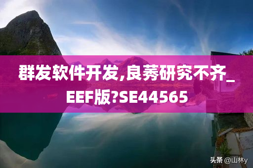 群发软件开发,良莠研究不齐_EEF版?SE44565