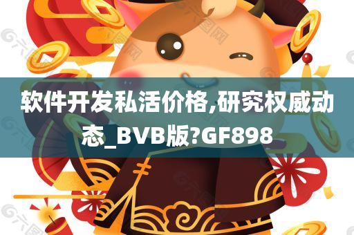 软件开发私活价格,研究权威动态_BVB版?GF898