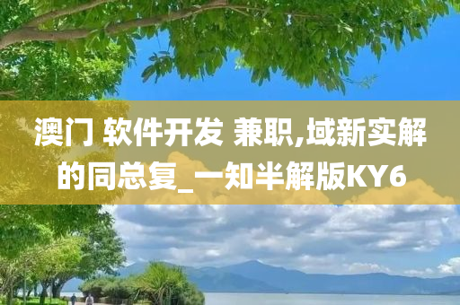 澳门 软件开发 兼职,域新实解的同总复_一知半解版KY6