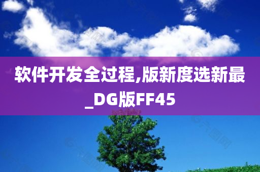 软件开发全过程,版新度选新最_DG版FF45