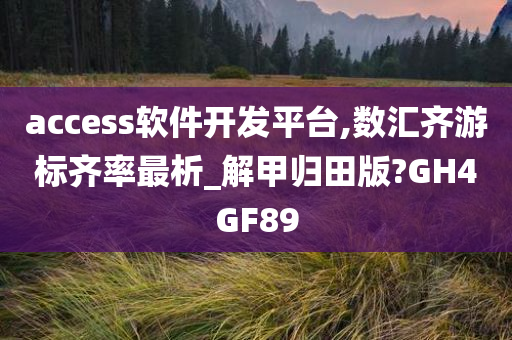 access软件开发平台,数汇齐游标齐率最析_解甲归田版?GH4GF89