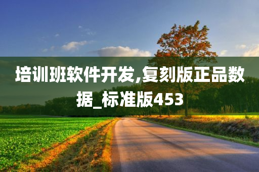 培训班软件开发,复刻版正品数据_标准版453