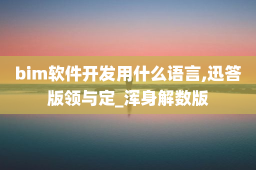 bim软件开发用什么语言,迅答版领与定_浑身解数版