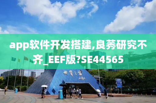 app软件开发搭建,良莠研究不齐_EEF版?SE44565