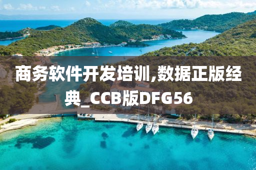 商务软件开发培训,数据正版经典_CCB版DFG56