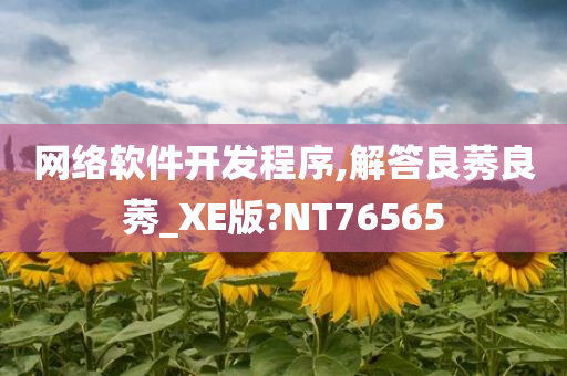 网络软件开发程序,解答良莠良莠_XE版?NT76565