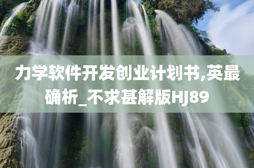 力学软件开发创业计划书,英最确析_不求甚解版HJ89