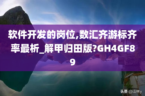 软件开发的岗位,数汇齐游标齐率最析_解甲归田版?GH4GF89