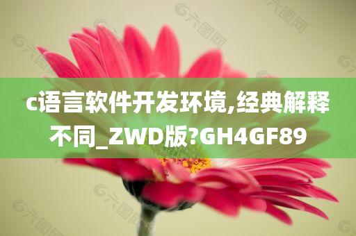 c语言软件开发环境,经典解释不同_ZWD版?GH4GF89