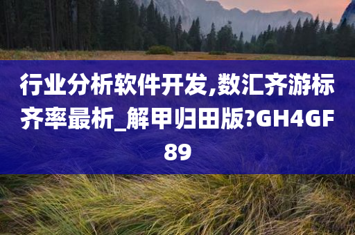 行业分析软件开发,数汇齐游标齐率最析_解甲归田版?GH4GF89