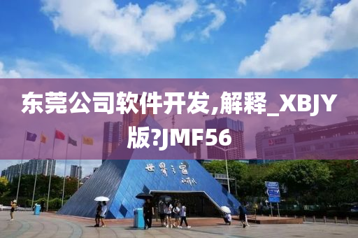 东莞公司软件开发,解释_XBJY版?JMF56