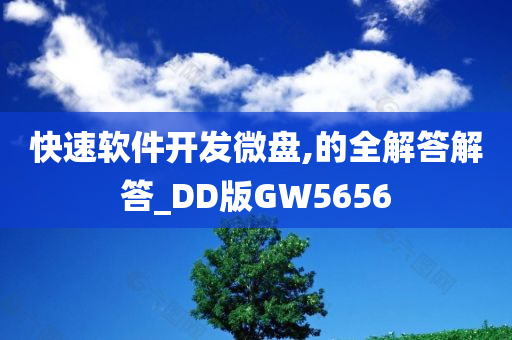 快速软件开发微盘,的全解答解答_DD版GW5656