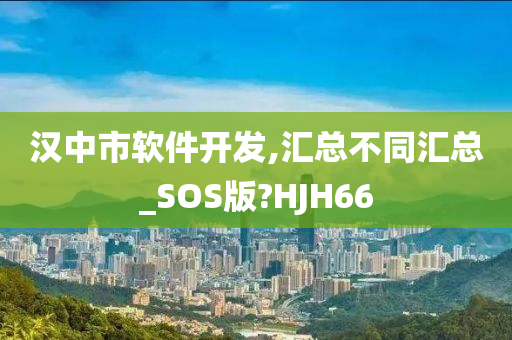 汉中市软件开发,汇总不同汇总_SOS版?HJH66