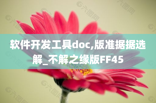 软件开发工具doc,版准据据选解_不解之缘版FF45