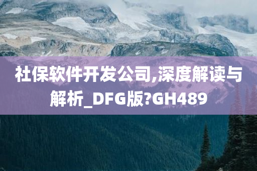 社保软件开发公司,深度解读与解析_DFG版?GH489