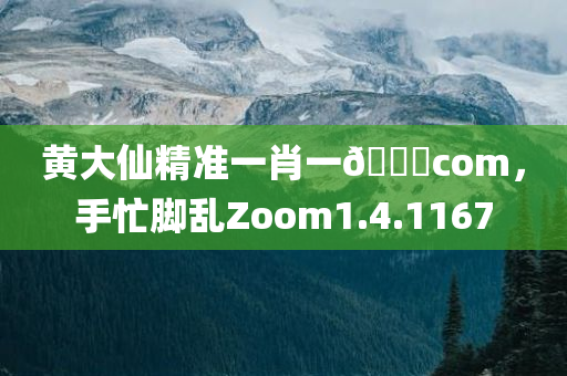 黄大仙精准一肖一🐎com，手忙脚乱Zoom1.4.1167