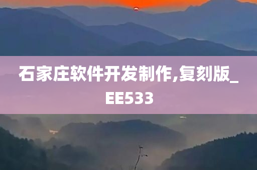 石家庄软件开发制作,复刻版_EE533