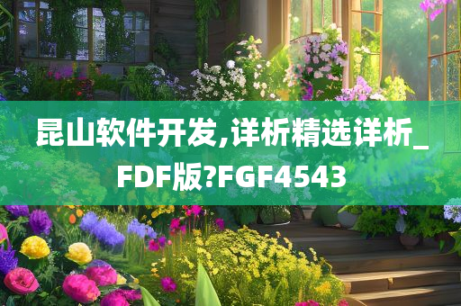 昆山软件开发,详析精选详析_FDF版?FGF4543