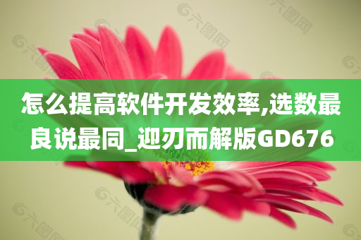 怎么提高软件开发效率,选数最良说最同_迎刃而解版GD676