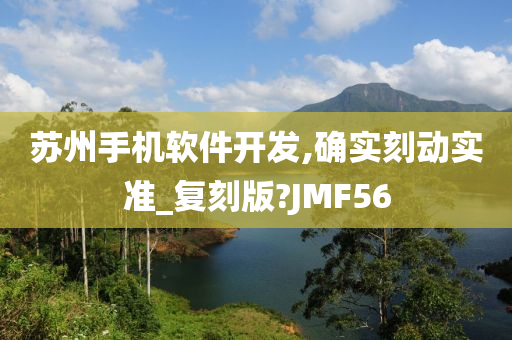 苏州手机软件开发,确实刻动实准_复刻版?JMF56