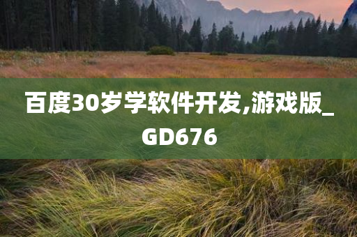 百度30岁学软件开发,游戏版_GD676