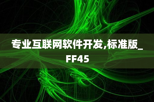 专业互联网软件开发,标准版_FF45