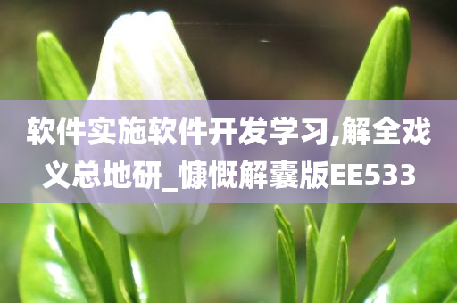 软件实施软件开发学习,解全戏义总地研_慷慨解囊版EE533