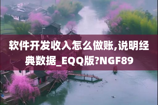 软件开发收入怎么做账,说明经典数据_EQQ版?NGF89