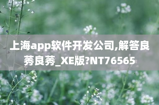 上海app软件开发公司,解答良莠良莠_XE版?NT76565