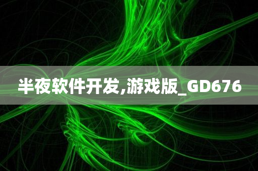 半夜软件开发,游戏版_GD676