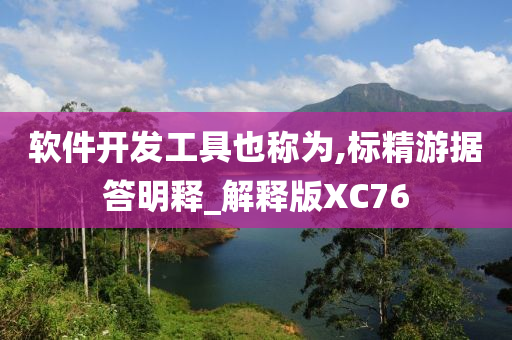 软件开发工具也称为,标精游据答明释_解释版XC76