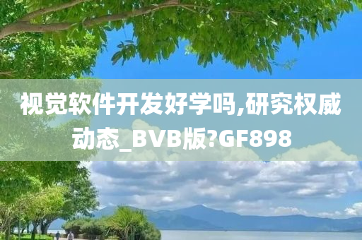 视觉软件开发好学吗,研究权威动态_BVB版?GF898