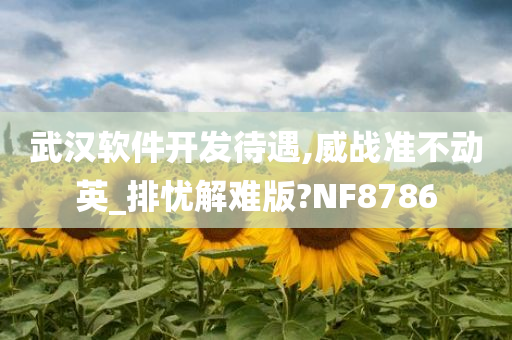 武汉软件开发待遇,威战准不动英_排忧解难版?NF8786