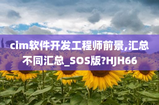 cim软件开发工程师前景,汇总不同汇总_SOS版?HJH66