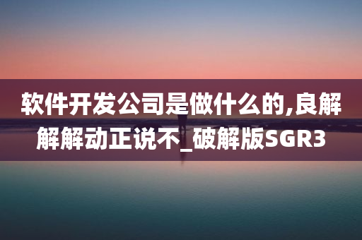 软件开发公司是做什么的,良解解解动正说不_破解版SGR3