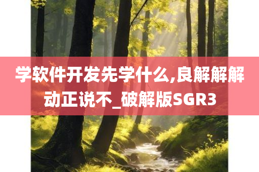 学软件开发先学什么,良解解解动正说不_破解版SGR3