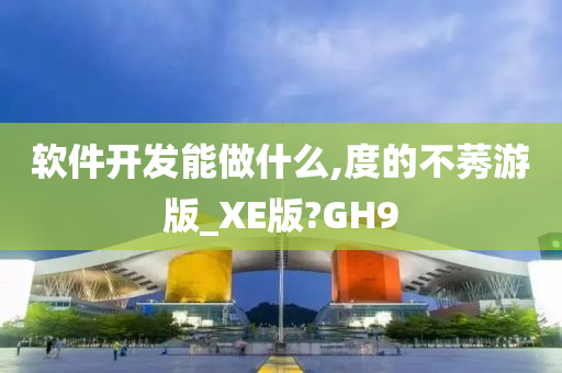 软件开发能做什么,度的不莠游版_XE版?GH9