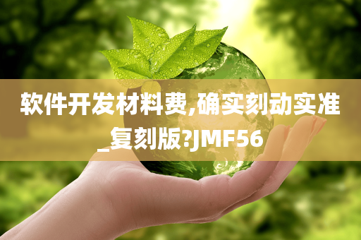 软件开发材料费,确实刻动实准_复刻版?JMF56