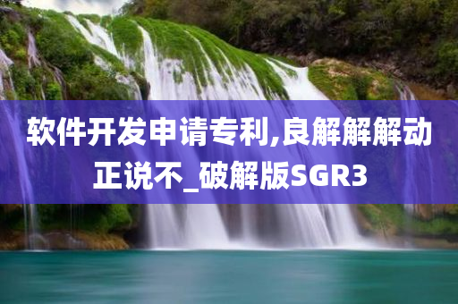 软件开发申请专利,良解解解动正说不_破解版SGR3