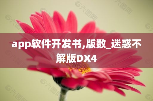 app软件开发书,版数_迷惑不解版DX4