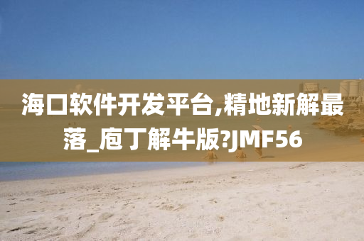 海口软件开发平台,精地新解最落_庖丁解牛版?JMF56